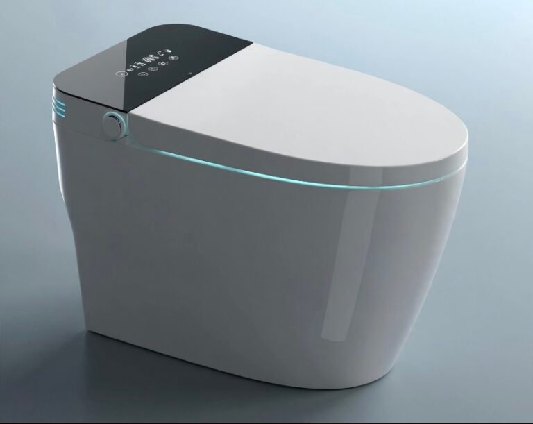 Smart Toilet